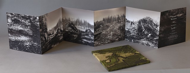 artist's book photographs of clear cut sites