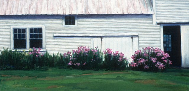 Vermont, farm buildings, irises, flowers