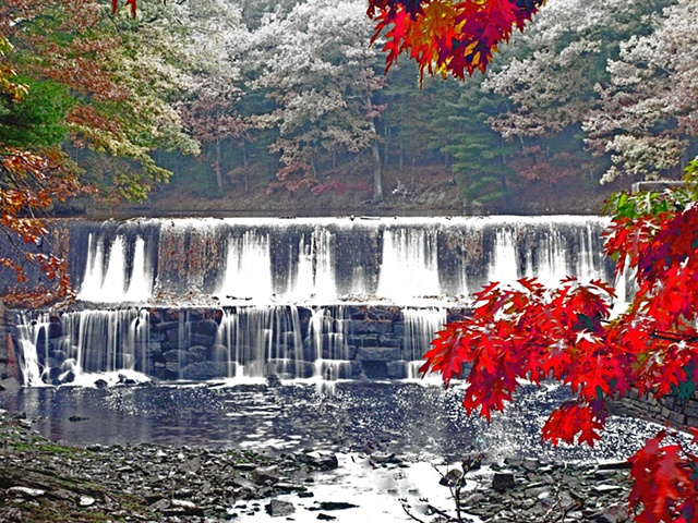 Dam and Maple Leaves