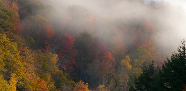 Fall Fog Woodstock VT