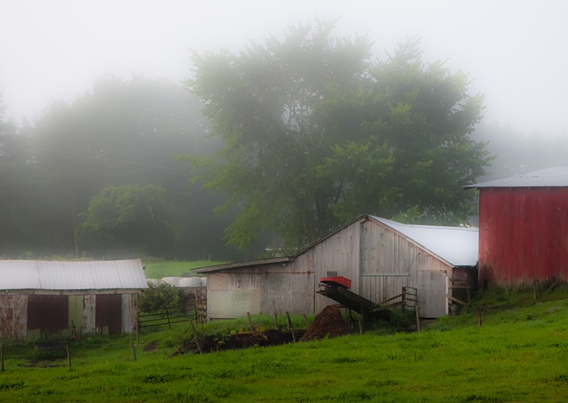 Farm in Fog- Detail