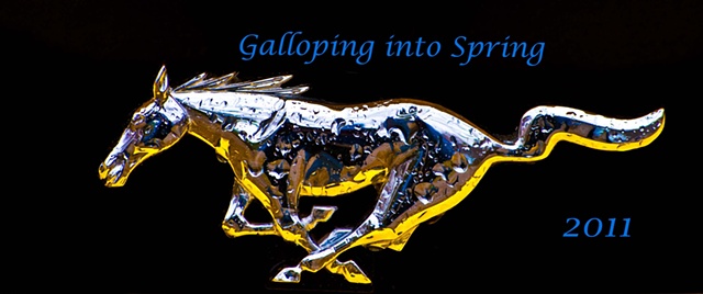 Galloping into Spring