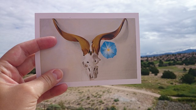 Postcard series (Santa Fe, NM)
2014