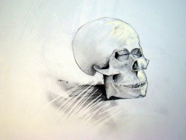Skull #2