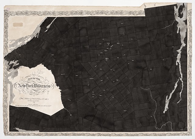 Map of the New York Wilderness, 1869