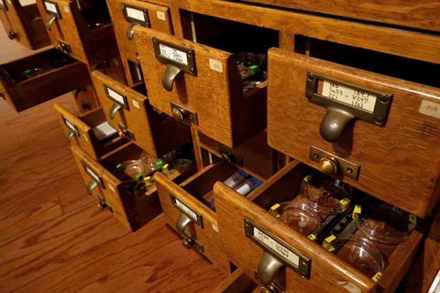 Library, detail