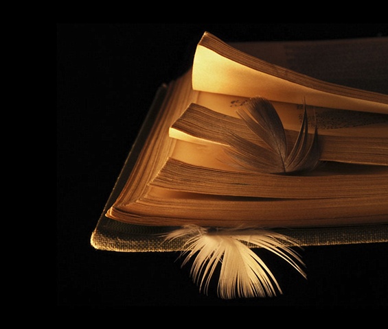 Book and Feathers