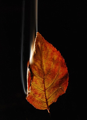 Burning Leaf 7