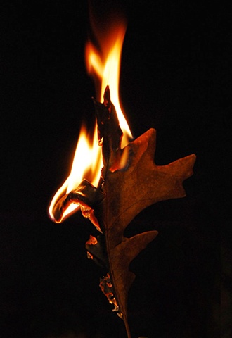 Burning Leaf 3