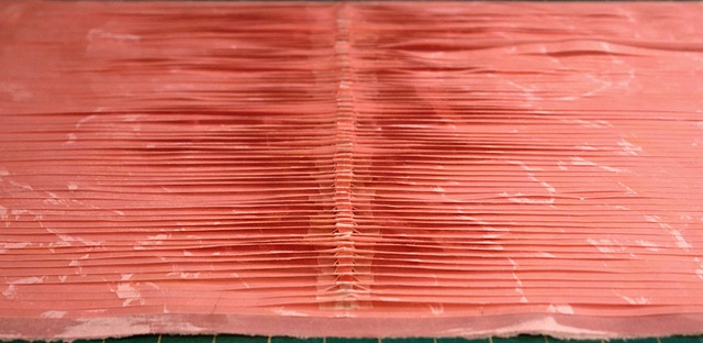 Spine Study-Pink Detail