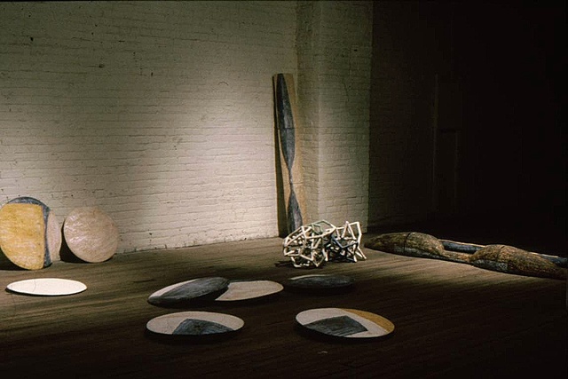 Installation view with Discs, Cages, and Three