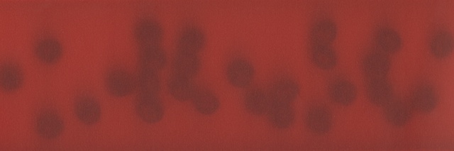 Dark dots on red (landscape print) 1/7 movements