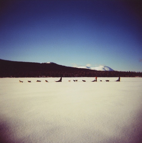 Dog Sled in Color