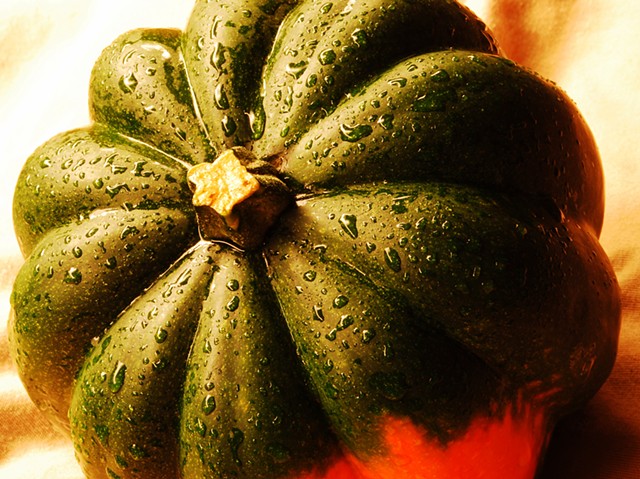 close up, Acorn Squash, squash, photograph, vegetable, gourd, 