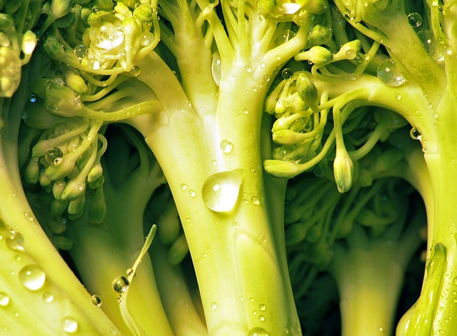Macro (Close up) of Broccoli