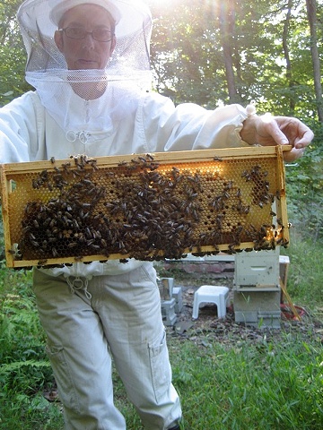 Deb with frame of brood.