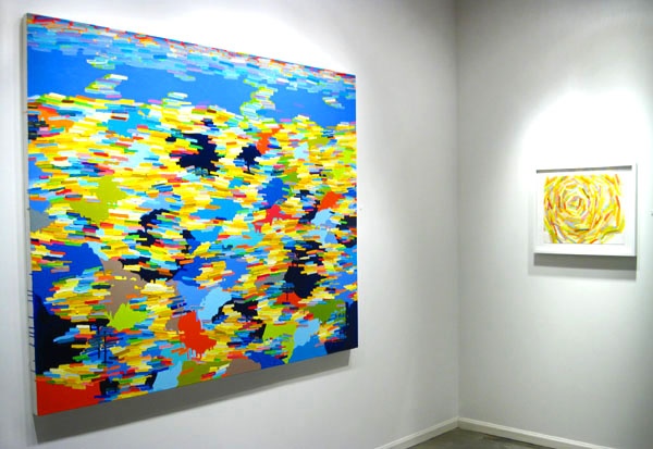 Martina Nehrling, solo exhibition "In Defense of Wondering" at Zg Gallery, Chicago, IL 2012