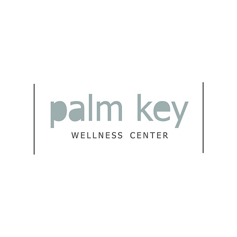 Palm Key: Introduction