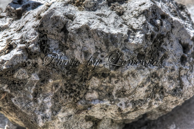 Rock in my garden, Grand Cayman, Cayman Islands