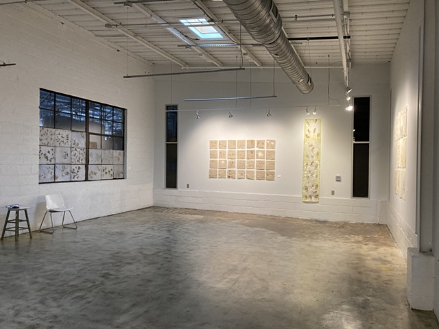 Installation shot of "The Lost Fields"