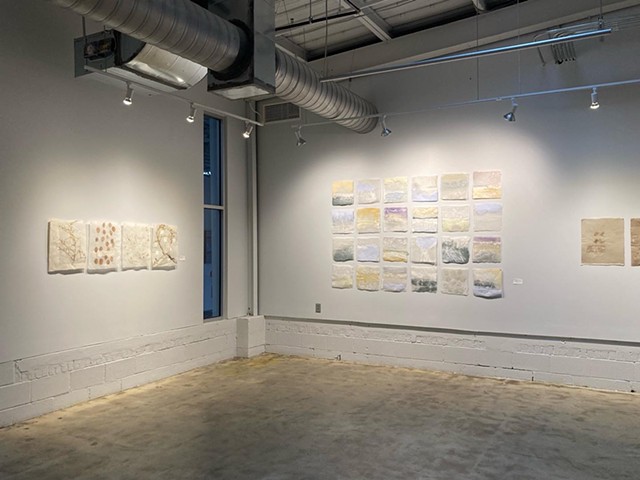 The Lost Fields installation shot