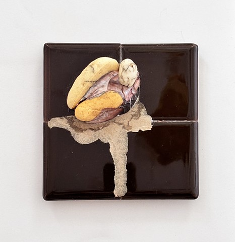 New Earth (small brown i)