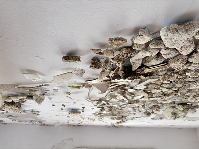 Hyperobjects
(detail)