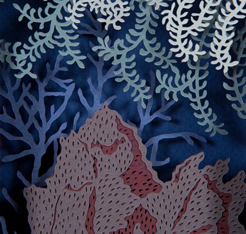 Coral--detail