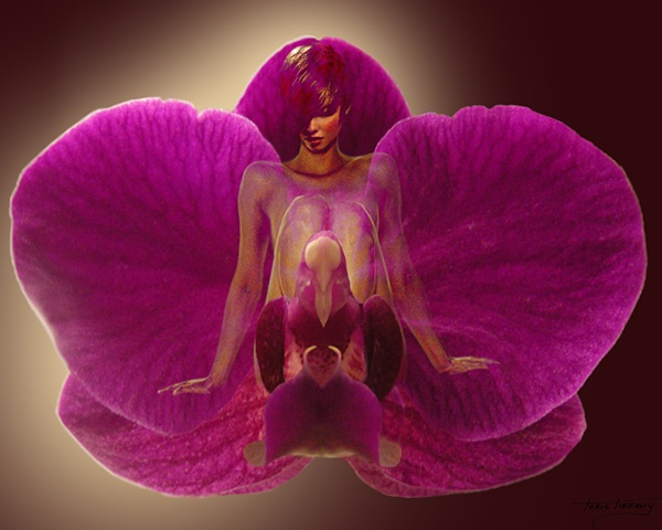 Fleurotica art, nude art, nude woman art, flower art, floral art, Orchid art, sensual art, sensuous art, unique art, fantasy art, romantic art, beautiful art, photographic art, digital art, digital collage art, digital painting