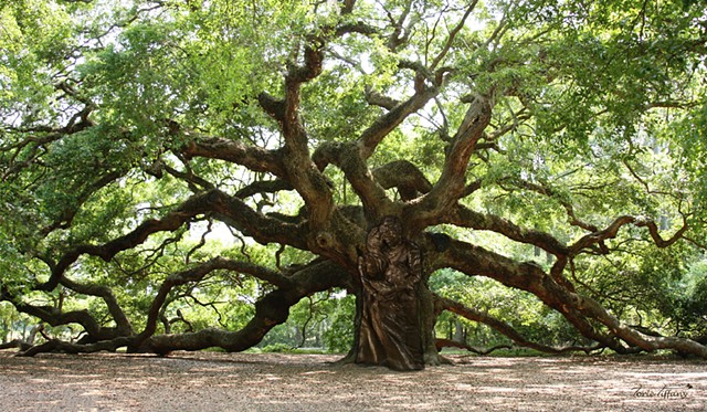 fine art, Fiscellaneous art, nature art, tree art, photographic art, spiritual art, digital art, unique art, digital painting