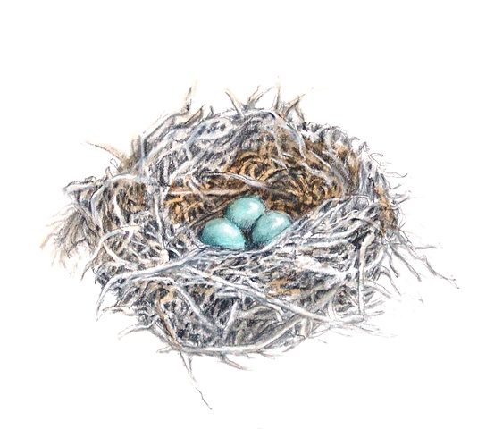 Nest


