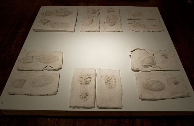 Forensic Print Examination
