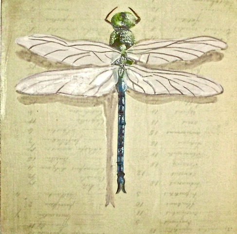 painted over Darwin's Lists of species