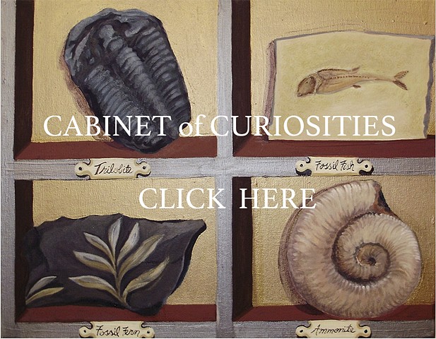  Cabinet of Curiosities
