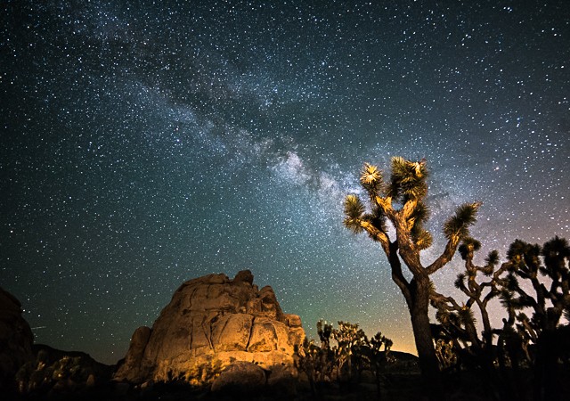 Milky Way, Joshua Tree, CA