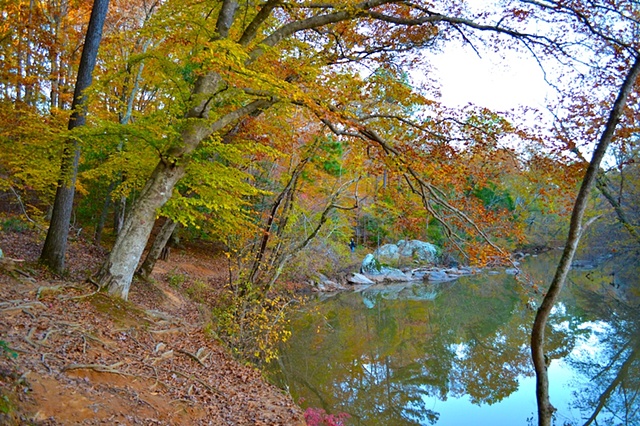 Eno River

The Eno River State Park is a beloved treasure for the residents in Durham, NC.