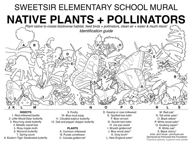 Native Plant + Pollinator Mural ID guide