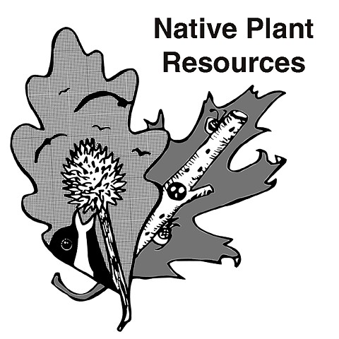 Native Plant Resources