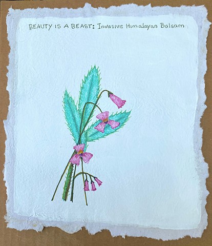 Beauty is a Beast:Invasive Himalayan Balsam