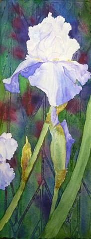 iris, pale blue, translucent, vertical, ruffled, abstract background, floral, watercolor, icy blue, stained glass, jewel-like,rainbow, flower