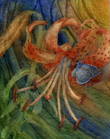 orange Tiger Lily, blue butterfly, watercolor