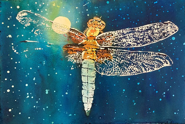 dragonfly with moon