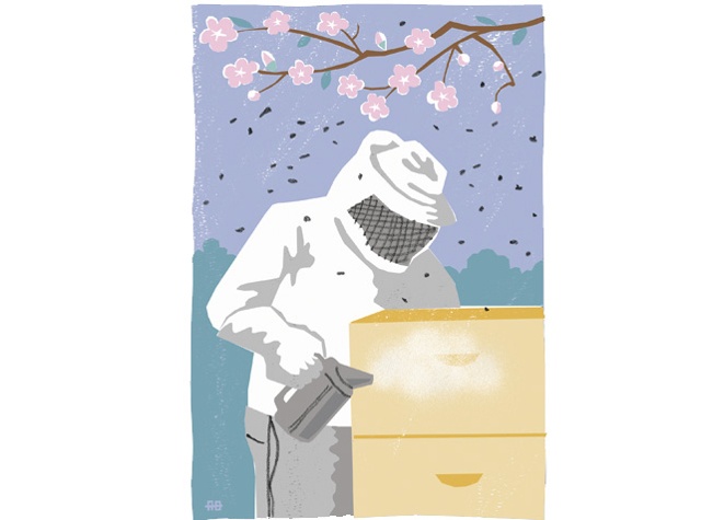 Illustration of a beekeeper