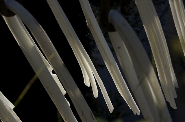 SFS 2 : 4 (detail)