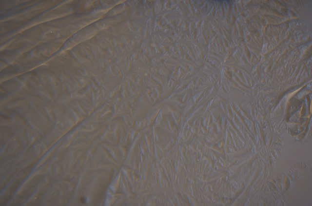 SFS 1 : 2 (detail)