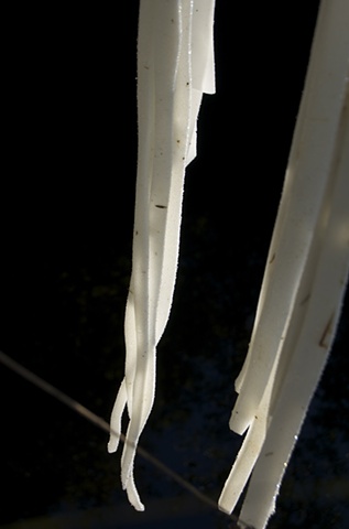 SFS 2 : 4 (detail)