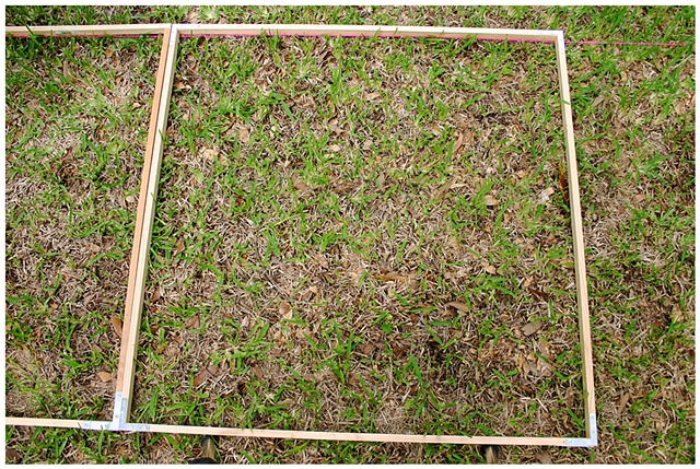 Planting Into the Grid, 2009 Row 2, Image 34, July 24, 2010