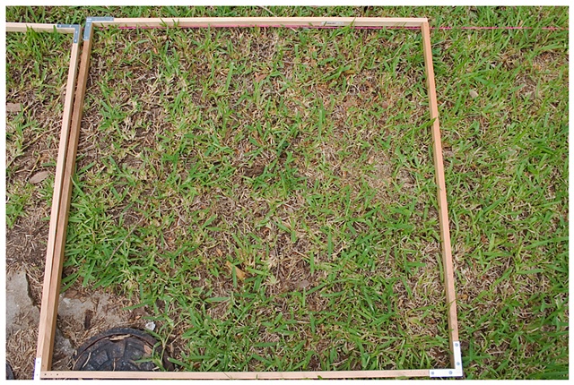 Planting Into the Grid, 2009 Row 2, Image 6, July 24, 2010