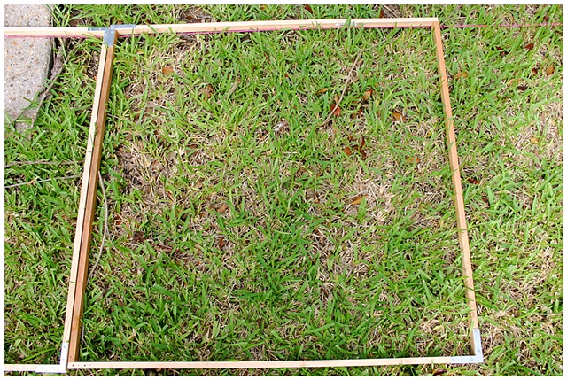 Planting Into the Grid, 2009 Row 2, Image 10, July 24, 2010