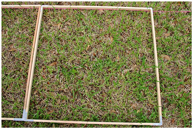 Planting Into the Grid, 2009 Row 2, Image 25, July 24, 2010